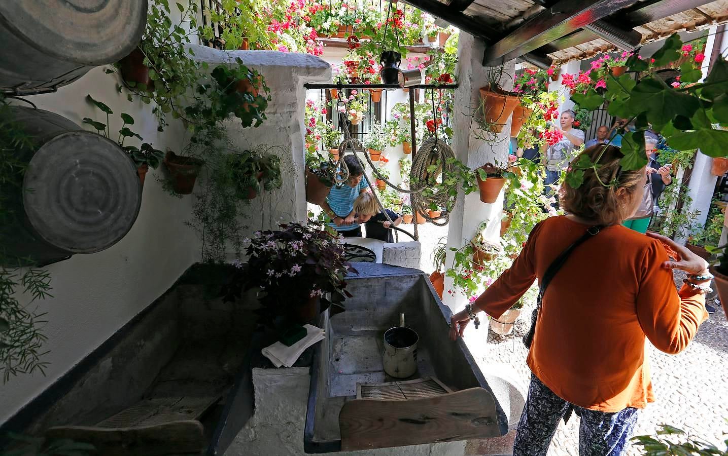 En imágenes, los Patios del Alcázar Viejo