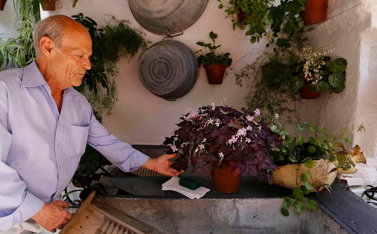 En imágenes, los Patios del Alcázar Viejo