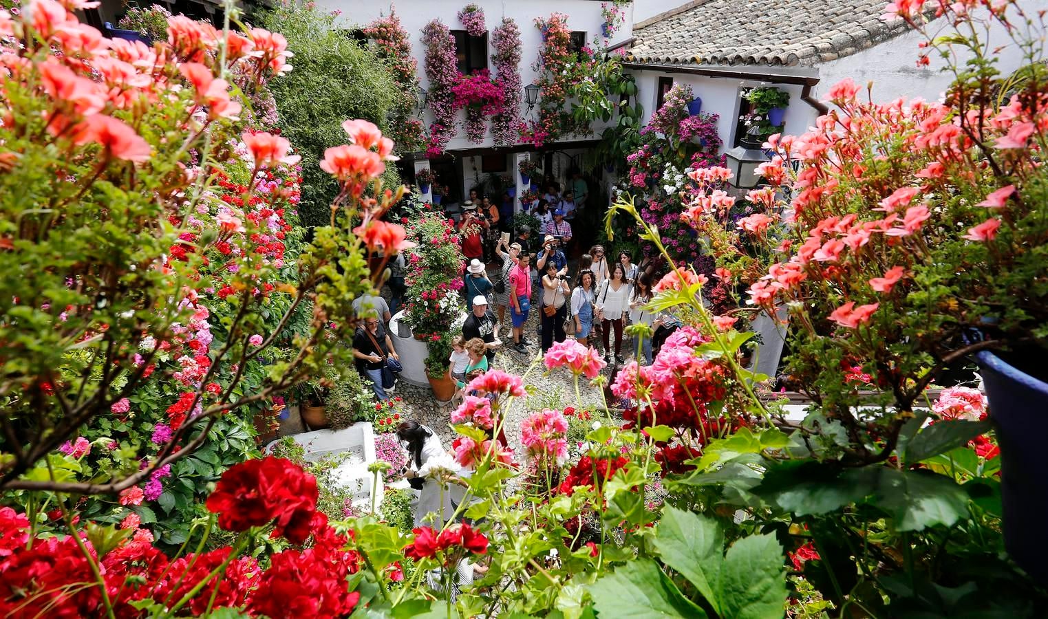 En imágenes, los Patios del Alcázar Viejo