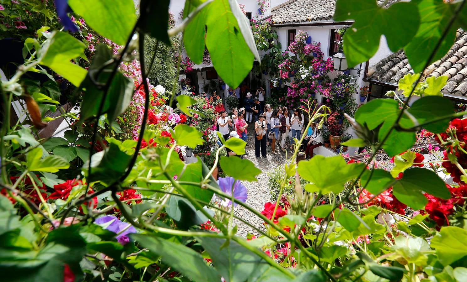 En imágenes, los Patios del Alcázar Viejo