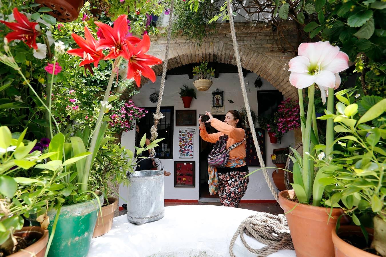 En imágenes, los Patios del Alcázar Viejo