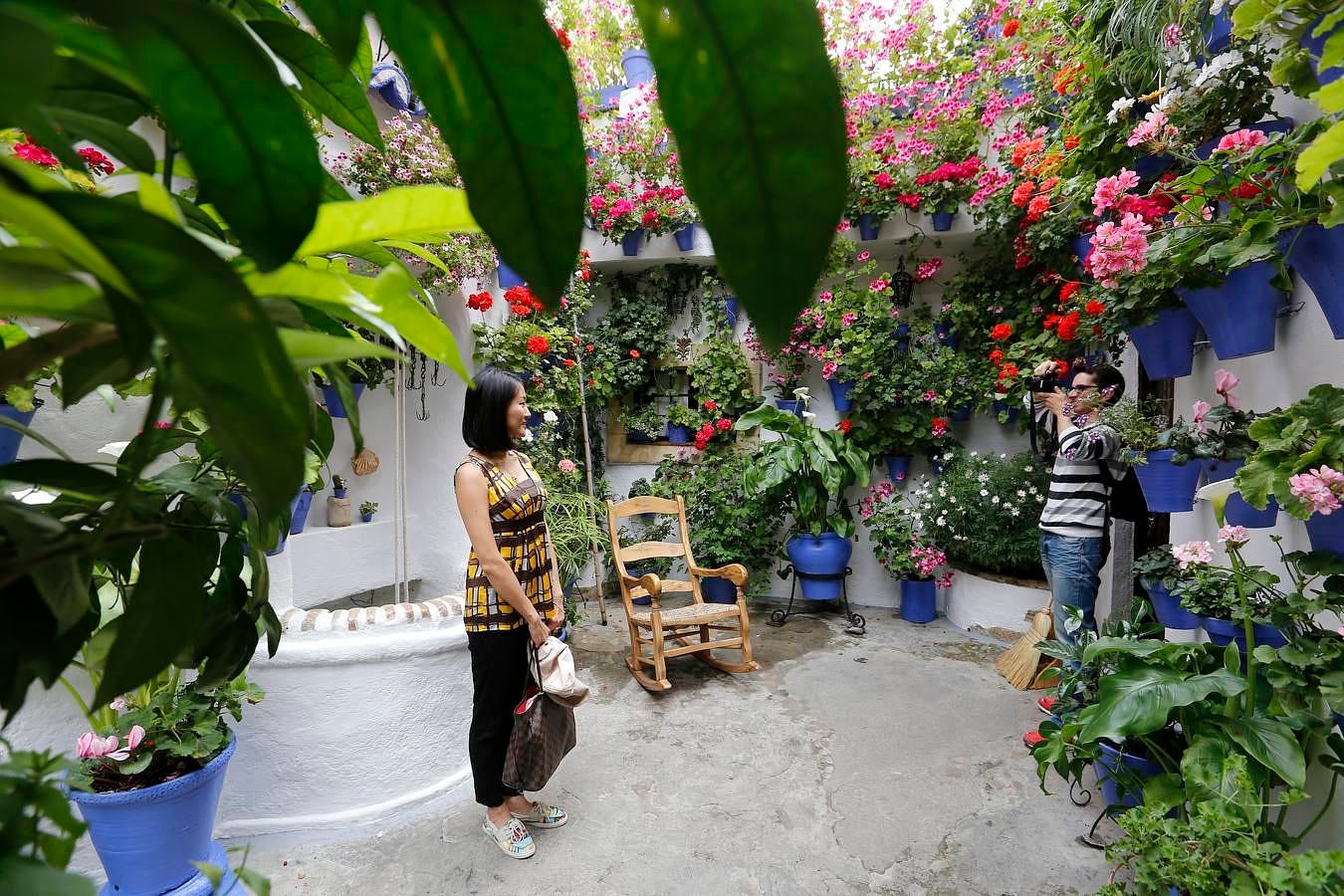 En imágenes, los Patios del Alcázar Viejo