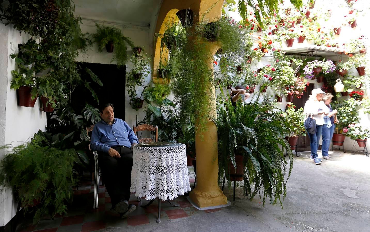 En imágenes, los Patios del Alcázar Viejo