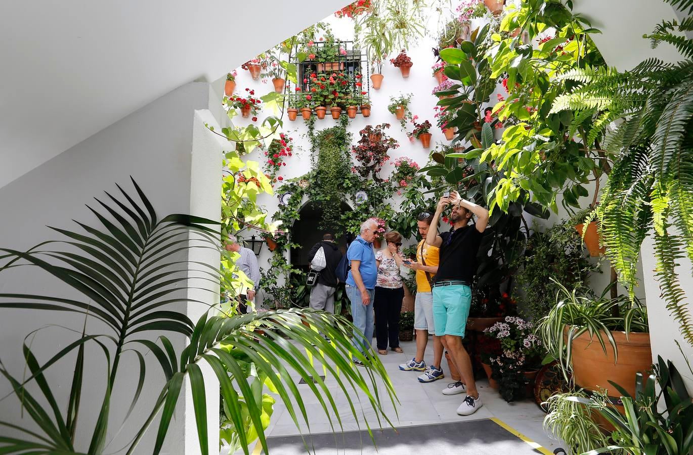 En imágenes, los Patios del Alcázar Viejo