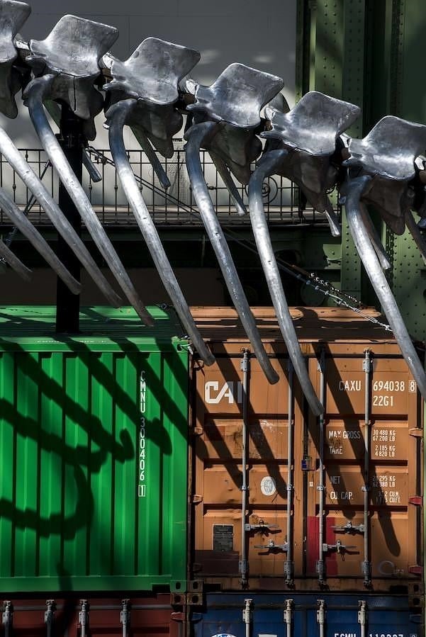 Huesos y mercado. Detalle del esqueleto de aluminio de 254 metros de largo