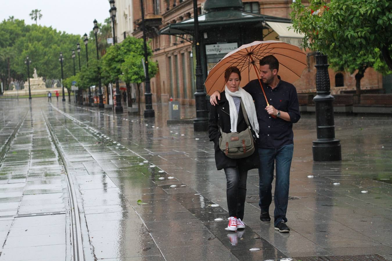 La lluvia provoca decenas de incidencias en Sevilla