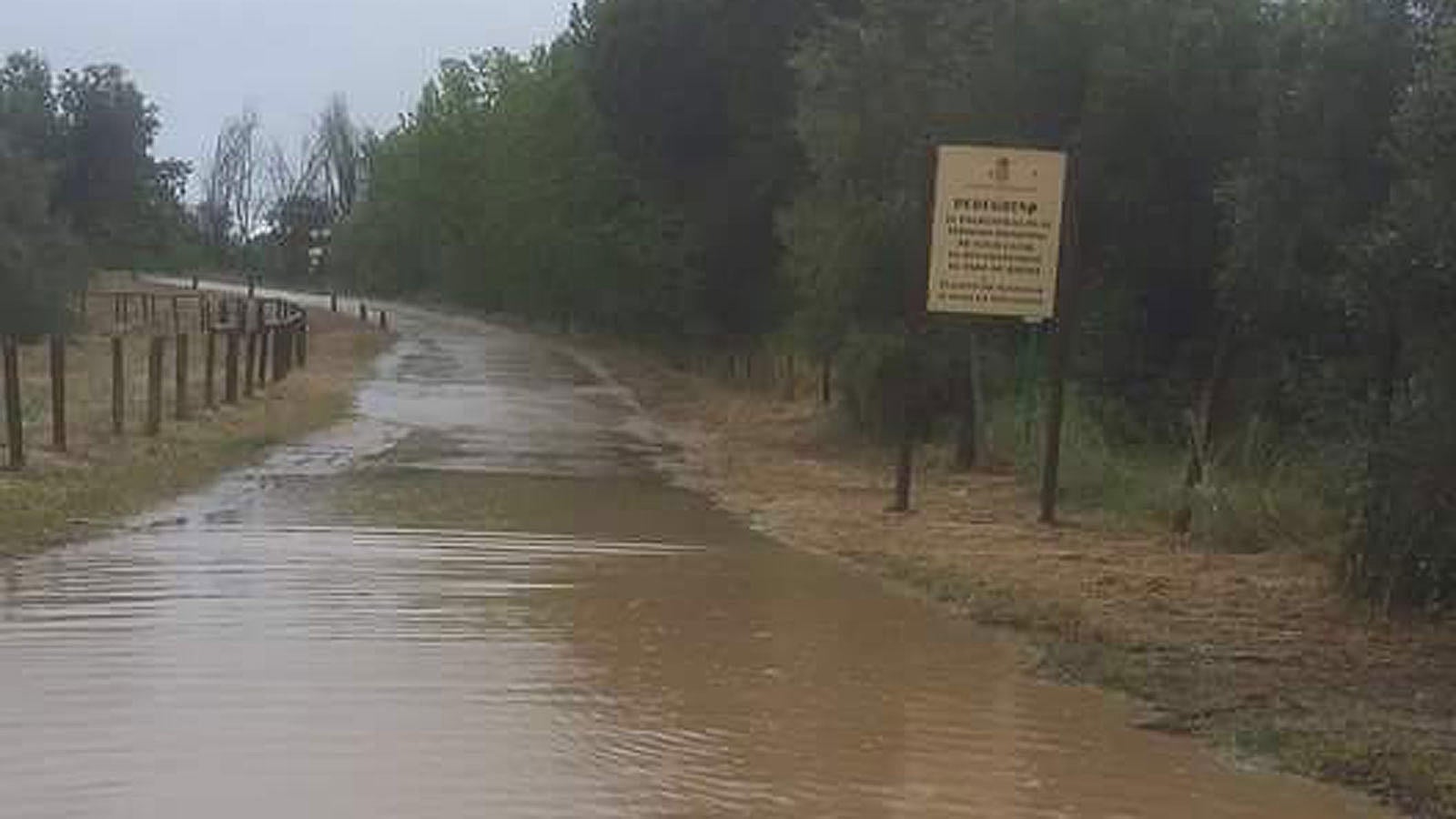 Fotos: Así están los caminos al Rocío