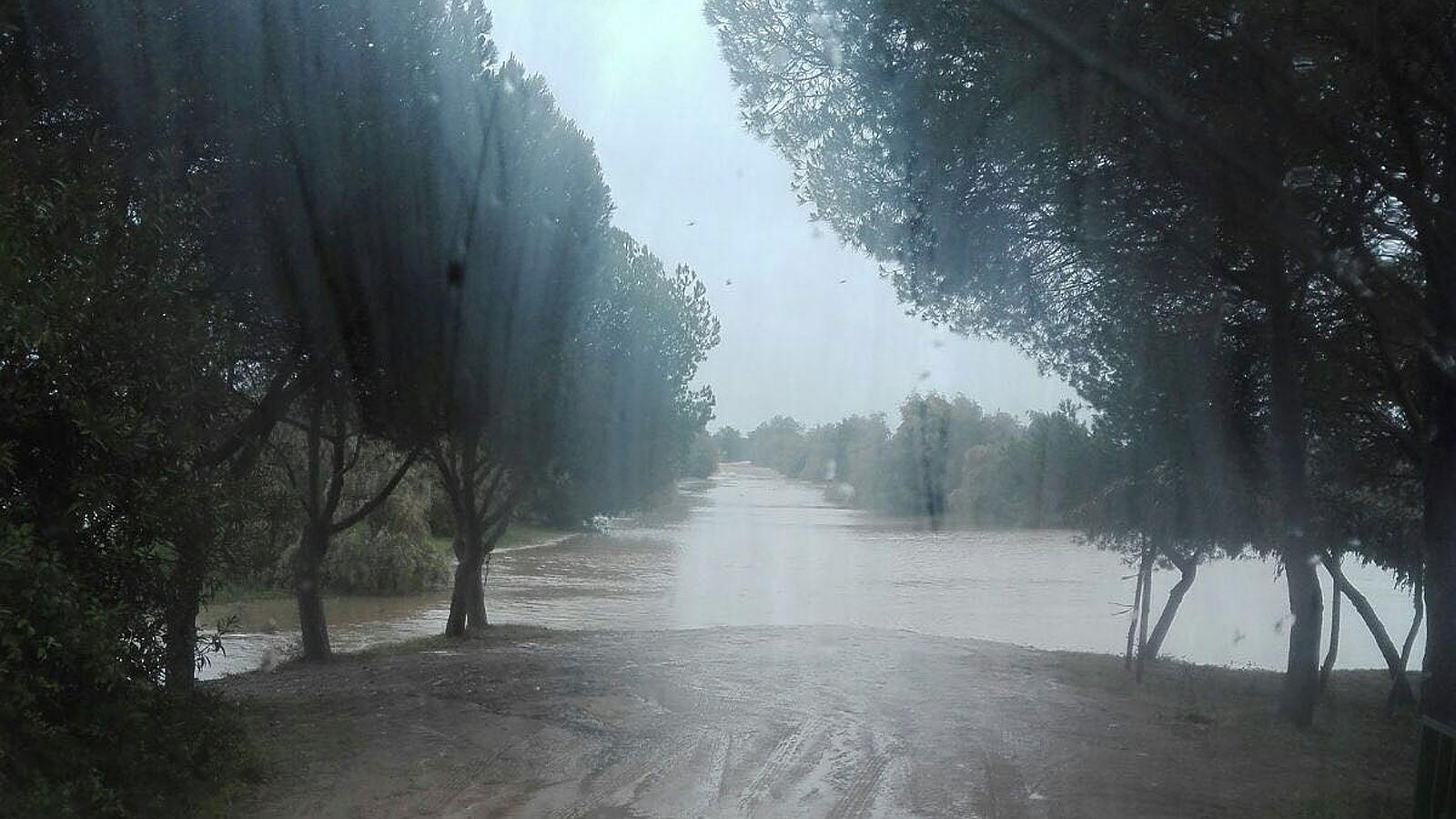 Fotos: Así están los caminos al Rocío