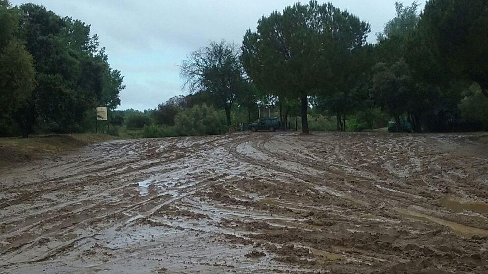 Fotos: Así están los caminos al Rocío