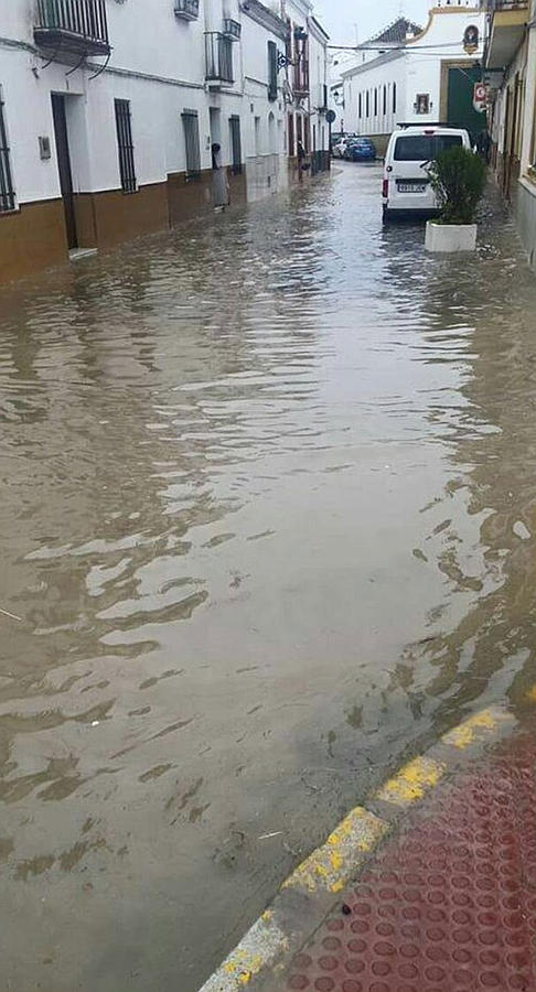 Sevilla bajo la lluvia