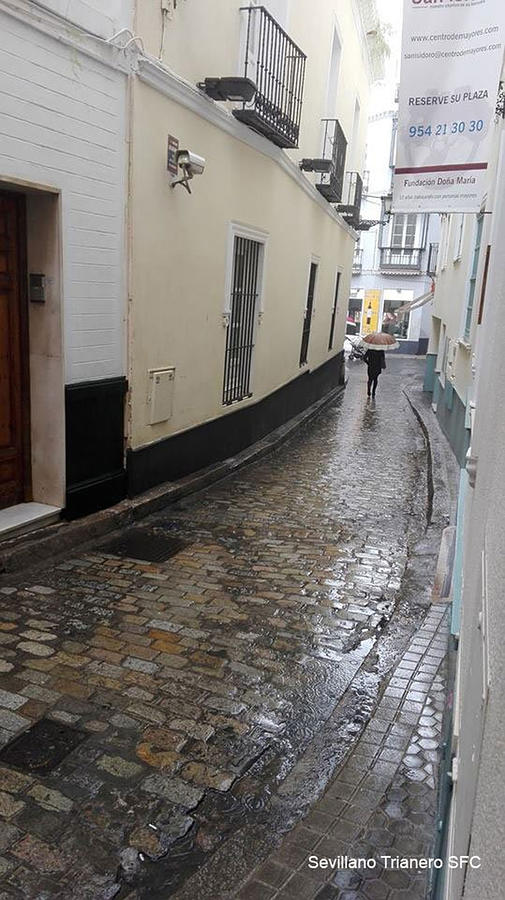 Sevilla bajo la lluvia