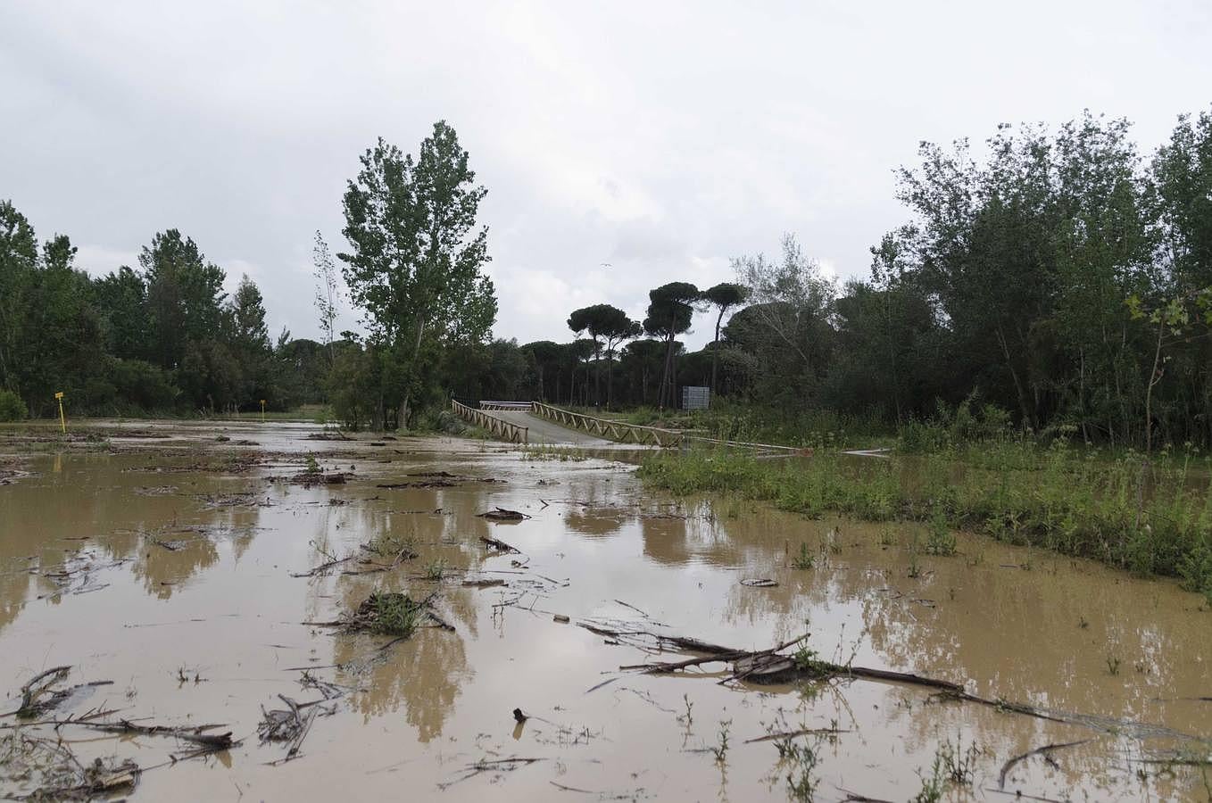 Así está la aldea del Rocío en el inicio de la romería