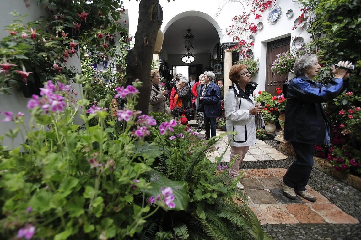 En imágenes, los ganadores del Concurso de Patios 2016