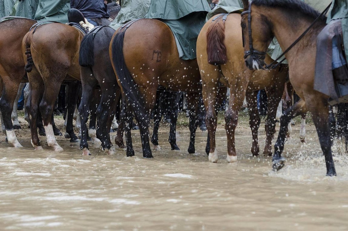 Las horas previas a la salida de la Virgen del Rocío