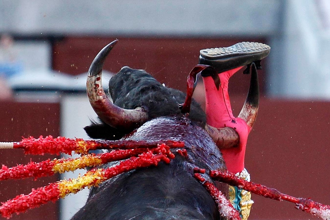 Sangre y orejas de auténticos novilleros en Madrid