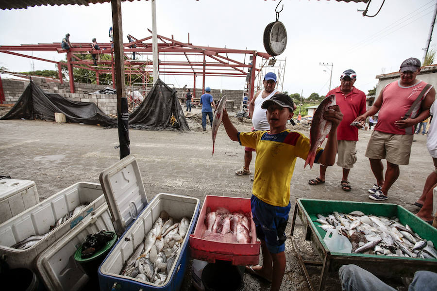 Imagen del 14 de mayo de 2016, de pescadores vendiendo su producto 