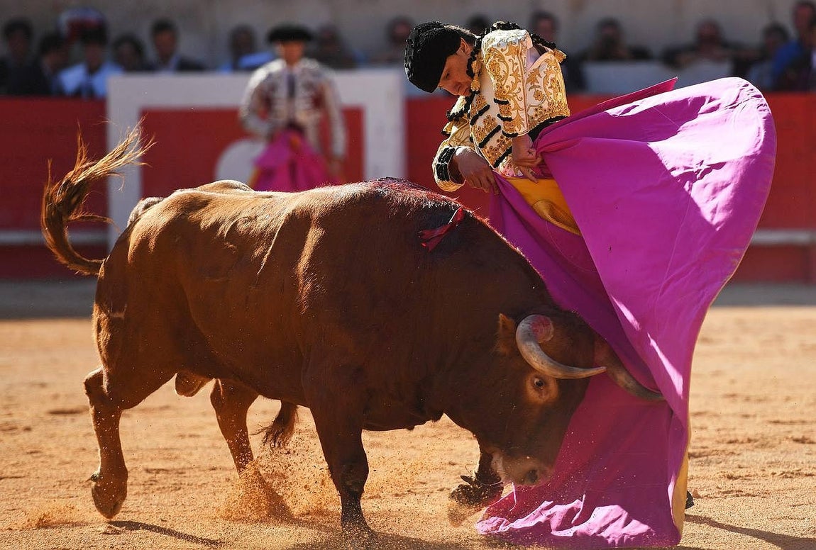 La Feria taurina de Nimes, en imágenes