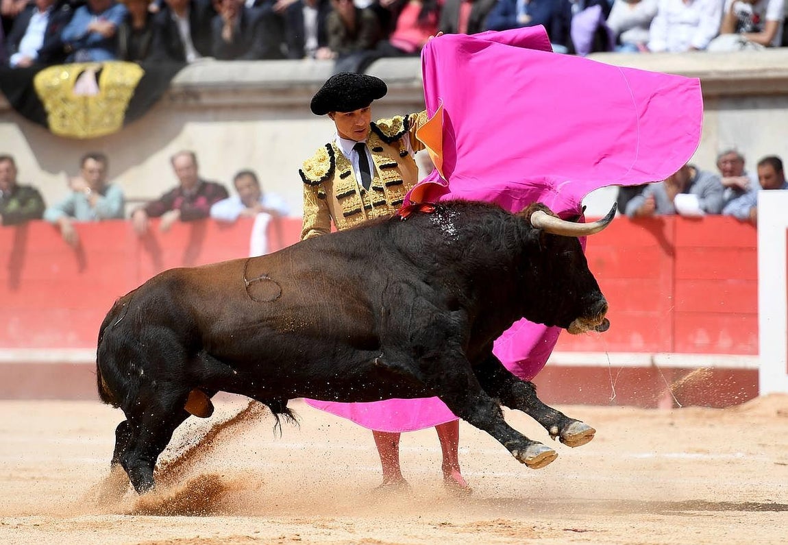 La Feria taurina de Nimes, en imágenes