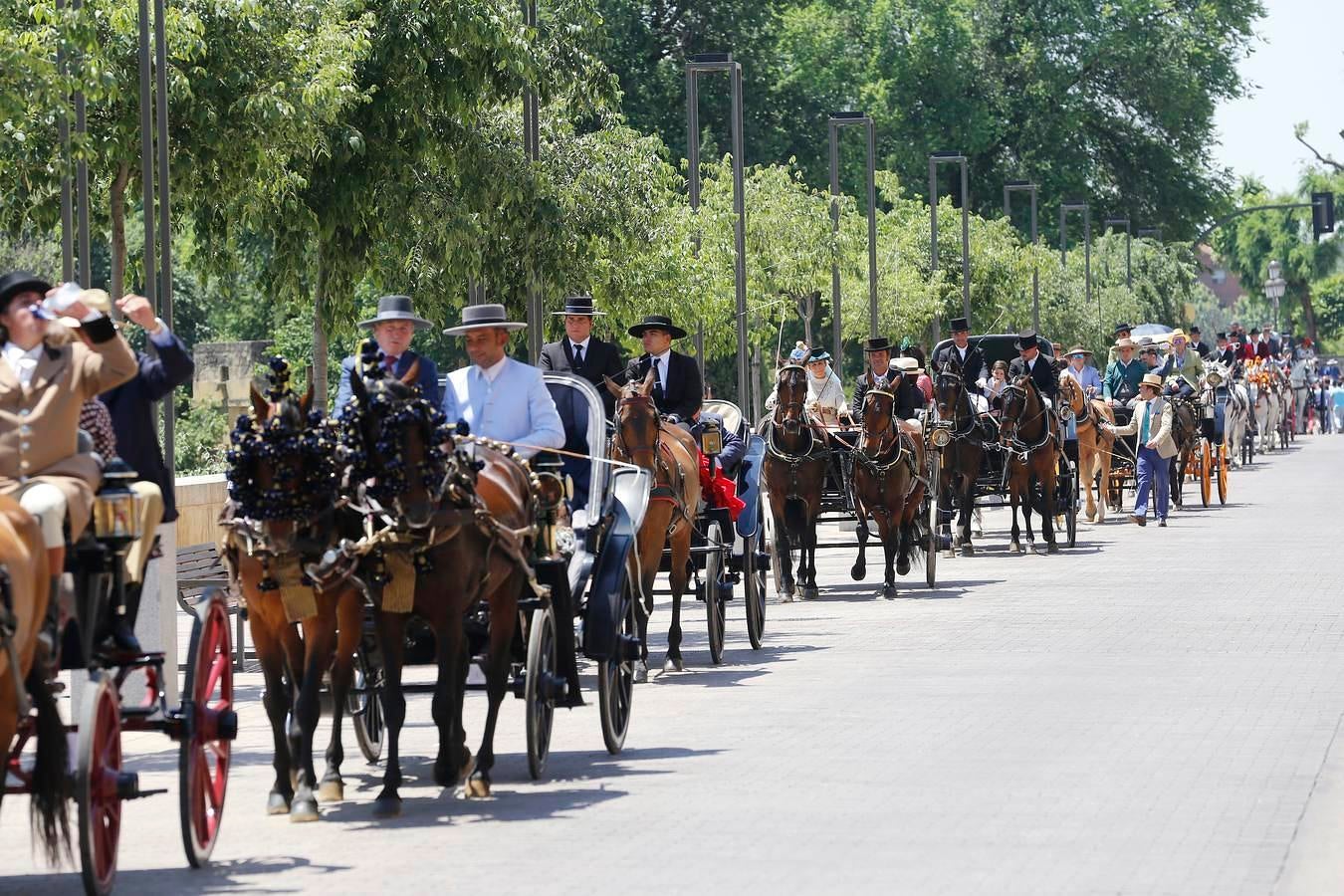 A la Feria de la Salud, a caballo