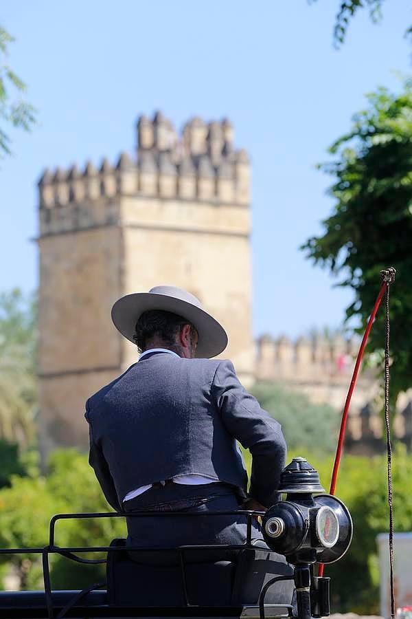 A la Feria de la Salud, a caballo