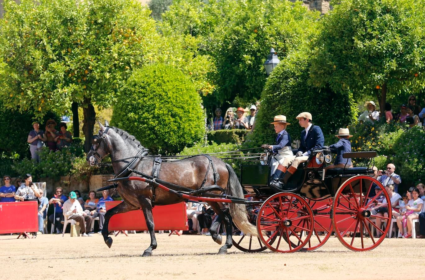 A la Feria de la Salud, a caballo