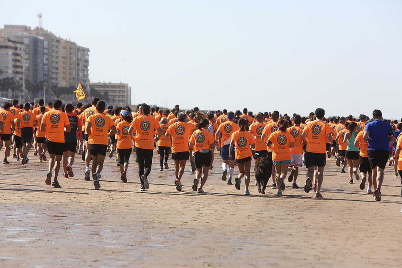 Búscate en la Carrera Beer Runners