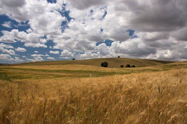 Día Europeo de los Parques: 24 de mayo. El primer premio ha sido para «Campiña natural», fotografía realizada en el Parque Natural de la Sierra de Grazalema (Andalucía)