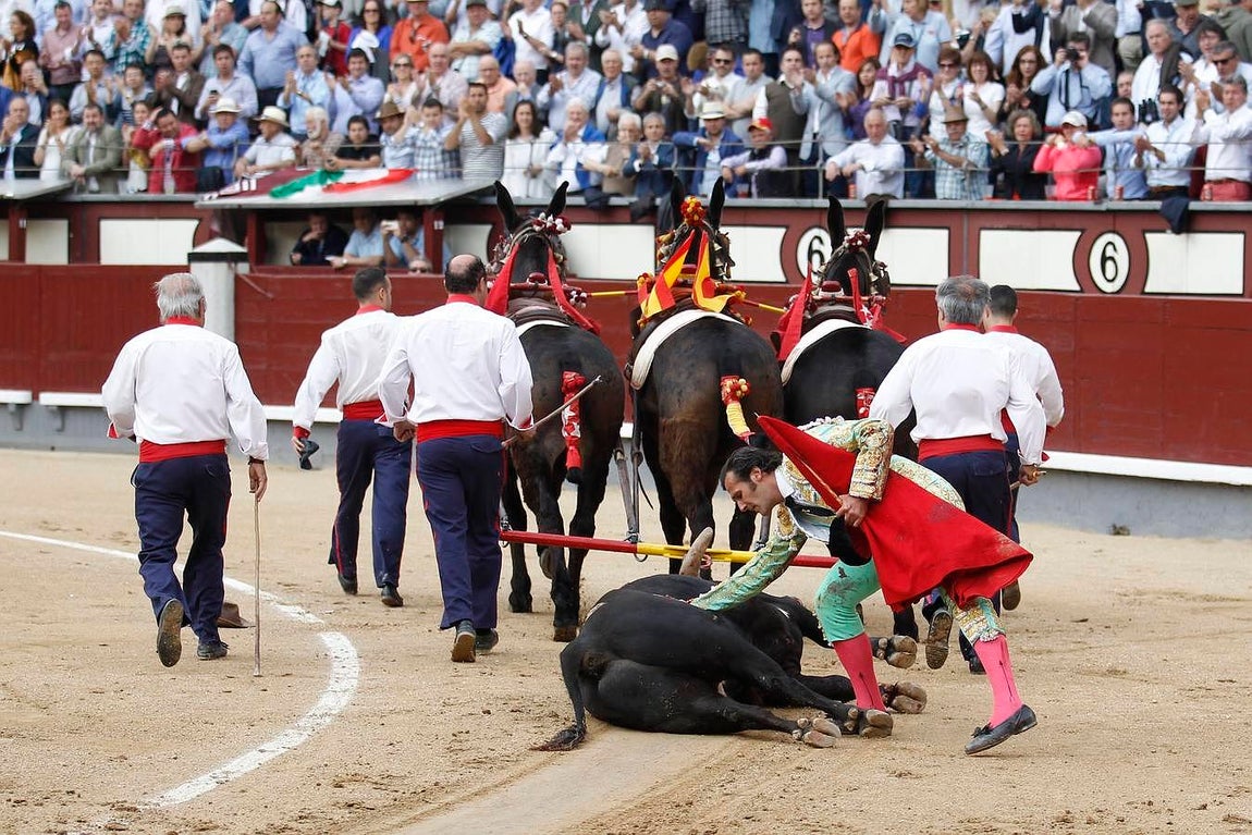 El triunfo de David Mora con un gran alcurrucén en Las Ventas, en imágenes