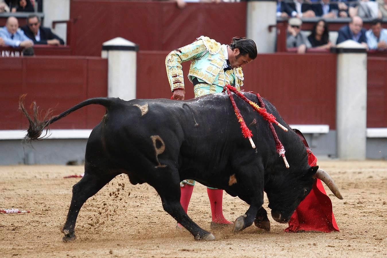 El triunfo de David Mora con un gran alcurrucén en Las Ventas, en imágenes