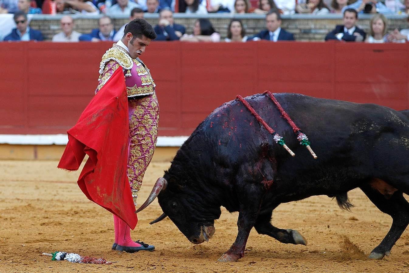 La primera corrida de la Feria de Córdoba, en imágenes