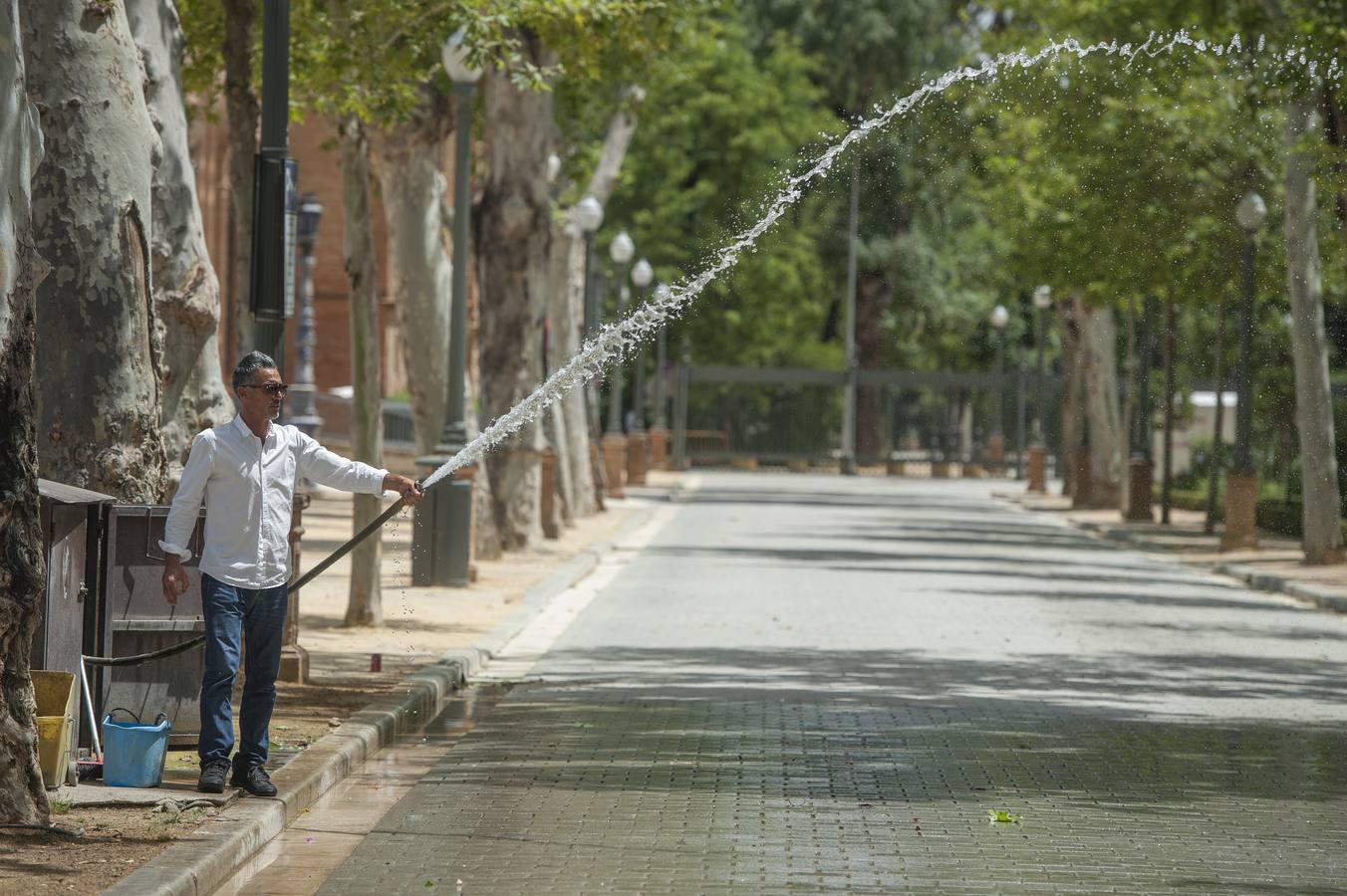 El verano asoma ya en Sevilla