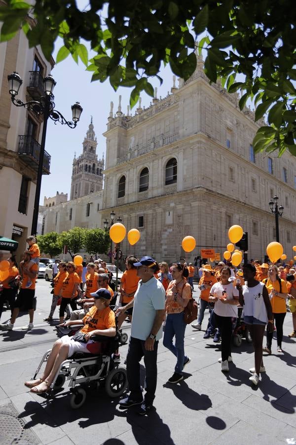 La marcha contra la ELA ha ido desde los Jardines de Murillo hasta la Plaza Nueva pasando por la calle San Fernando y la Avenida de la Constitución