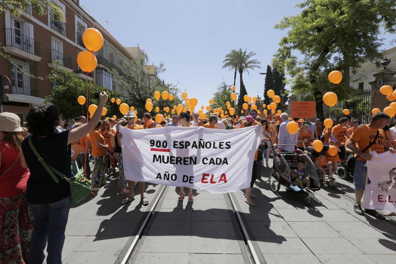 La marcha contra la ELA ha ido desde los Jardines de Murillo hasta la Plaza Nueva pasando por la calle San Fernando y la Avenida de la Constitución