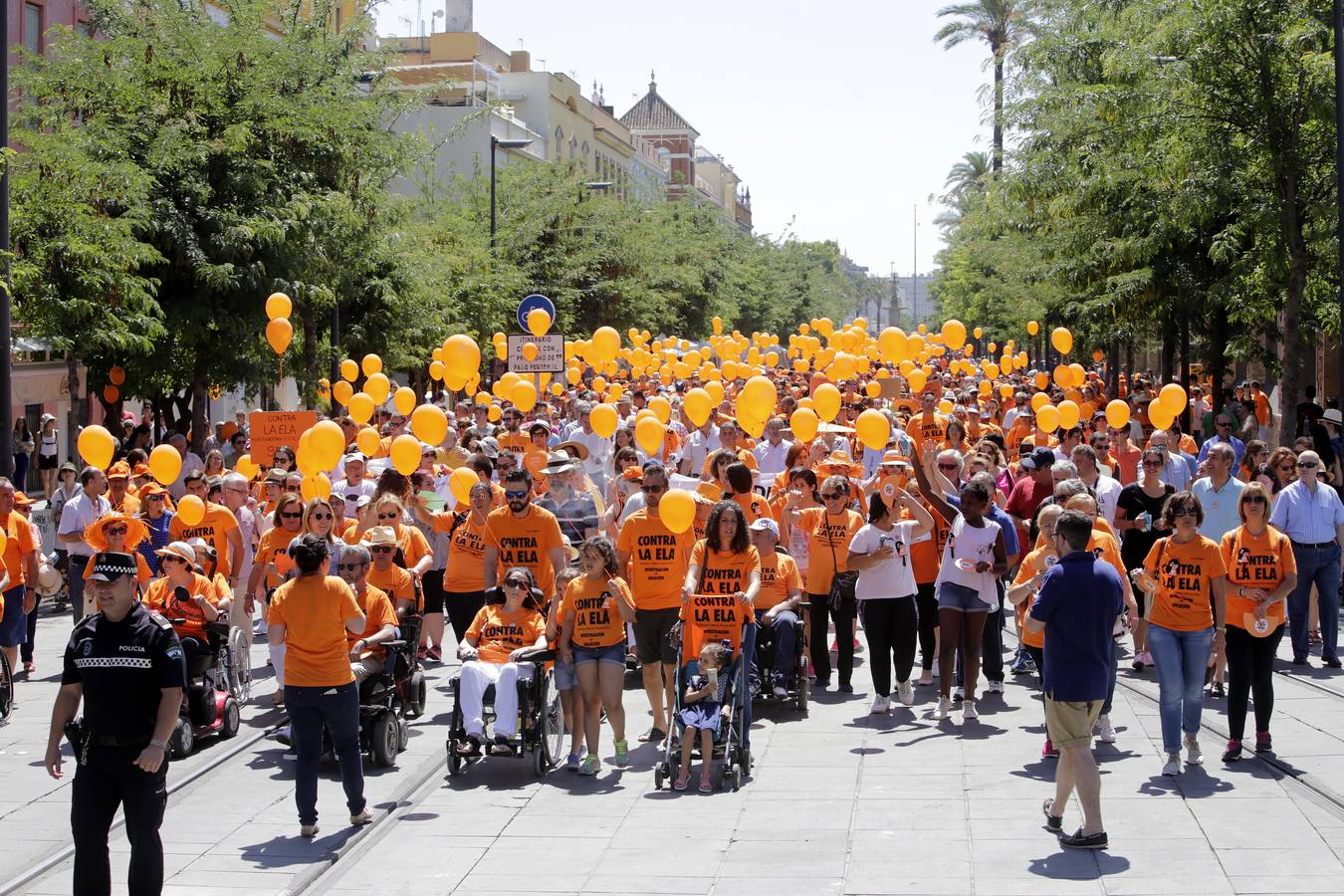 La marcha contra la ELA ha ido desde los Jardines de Murillo hasta la Plaza Nueva pasando por la calle San Fernando y la Avenida de la Constitución