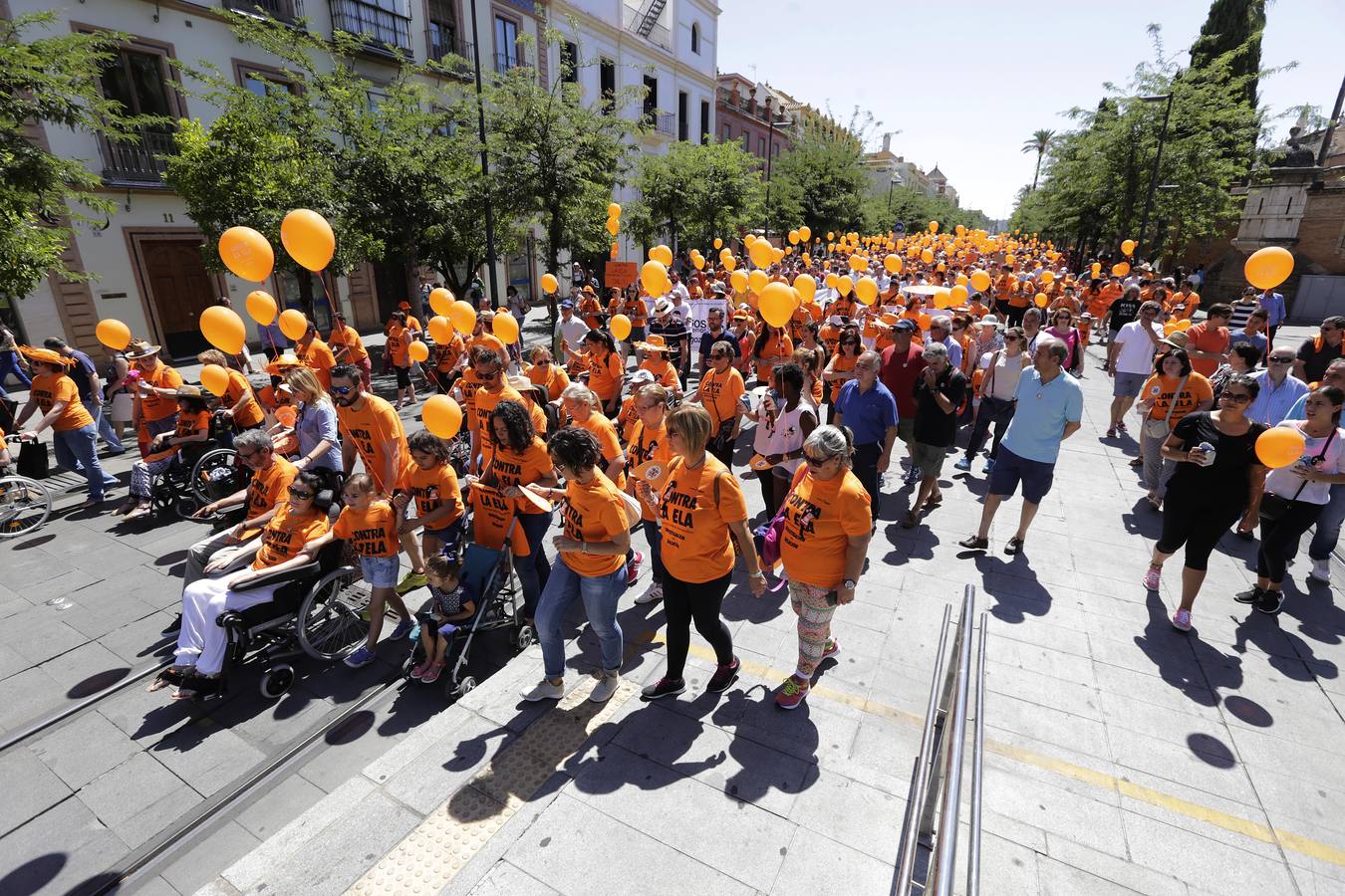 La marcha contra la ELA ha ido desde los Jardines de Murillo hasta la Plaza Nueva pasando por la calle San Fernando y la Avenida de la Constitución