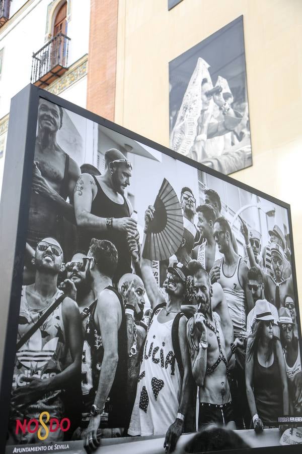 La muestra ofrece distintas imágenes captadas durante las últimas ediciones de los actos de celebración del Orgullo de Andalucía celebrados en Sevilla