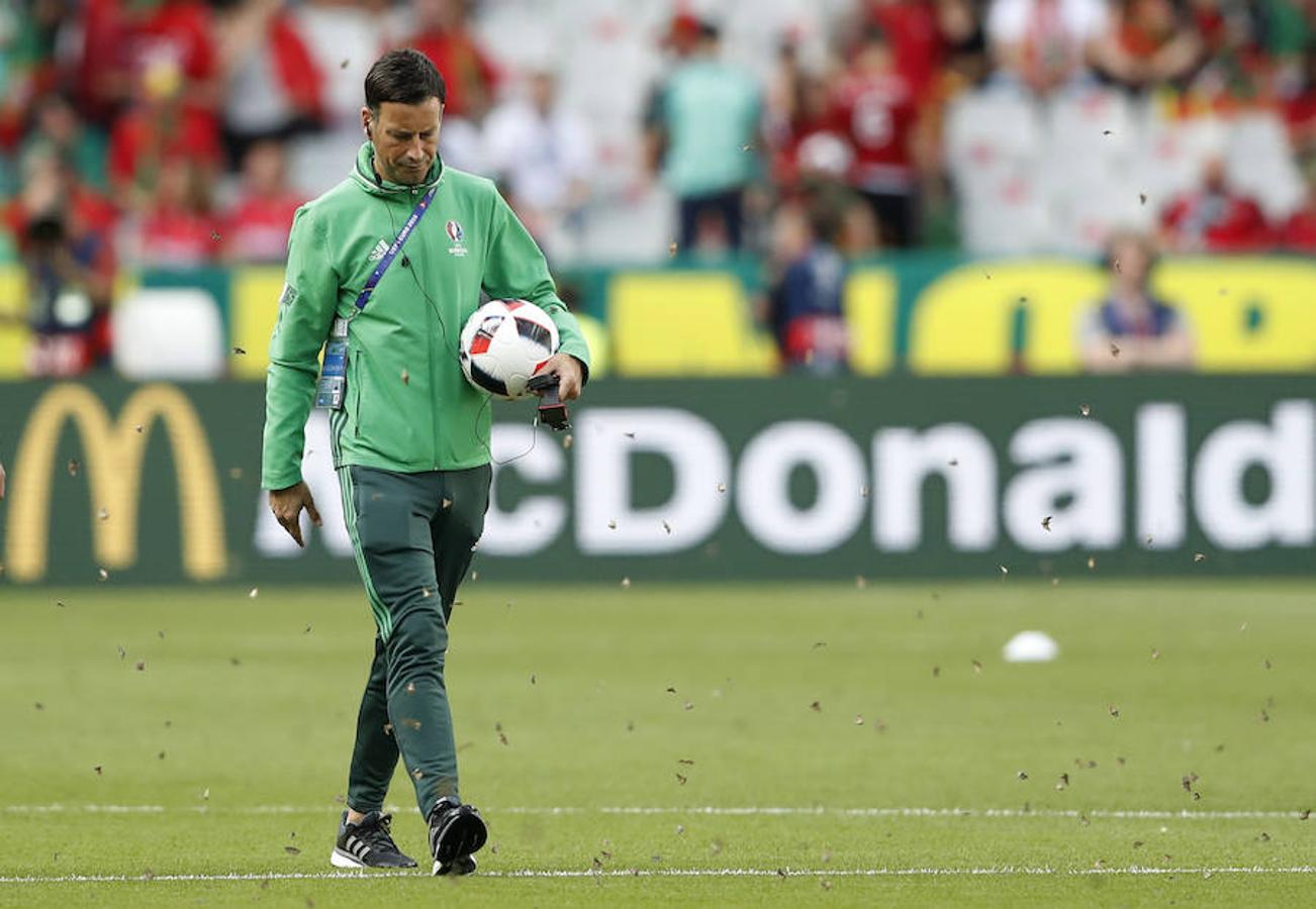 Las polillas atacan Saint Denis antes de la final de la Eurocopa