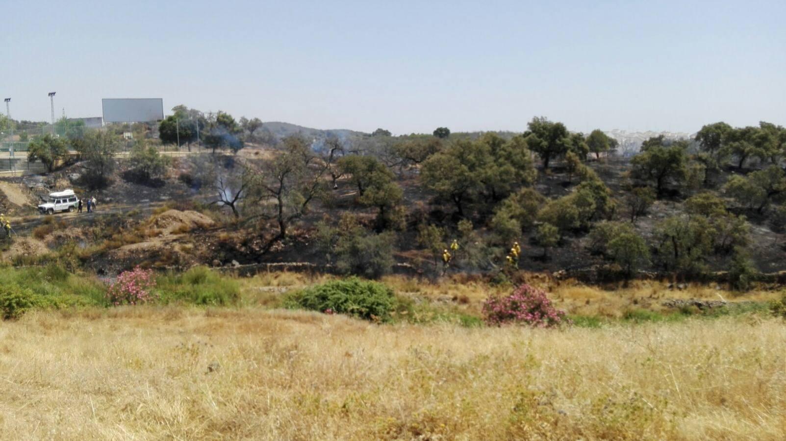 Un incendio de pastos obliga a desalojar la piscina del Ronquillo