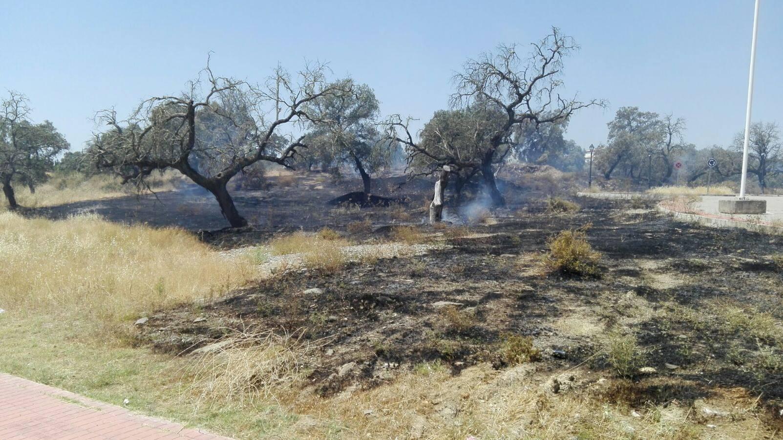 Un incendio de pastos obliga a desalojar la piscina del Ronquillo