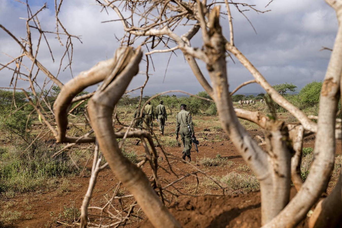 3. KENIA, AMBOSELI - Febrero 2016: Miembros de Big Life Foundation Foundation durante una patrulla por el National Park Amboselli.( Photo by Alvaro Ybarra Zavala). 