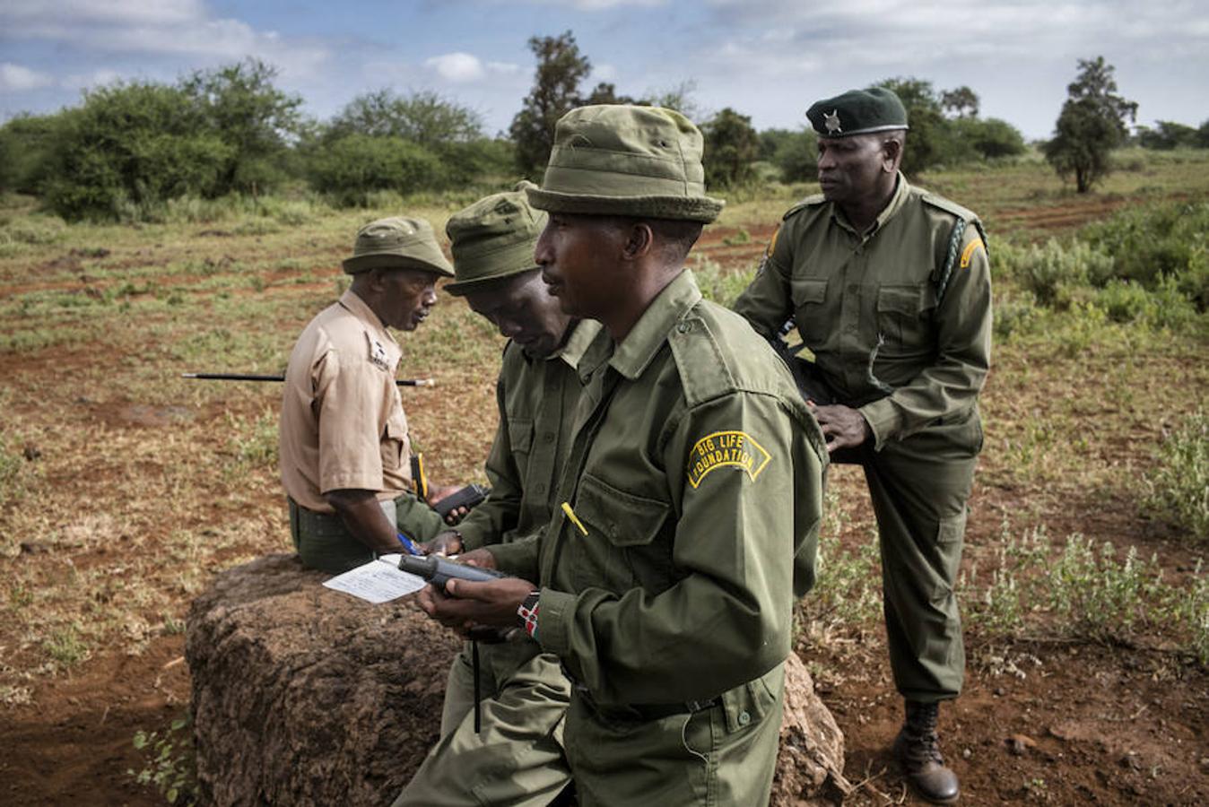 4. KENIA, AMBOSELI - Febrero 2016: El capitán Timy y sus hombres hacen recuento del número de animales que ellos han observado en su sector. Esta práctica es esencial para evitar la caza furtiva en la zona ( Photo by Alvaro Ybarra Zavala). 