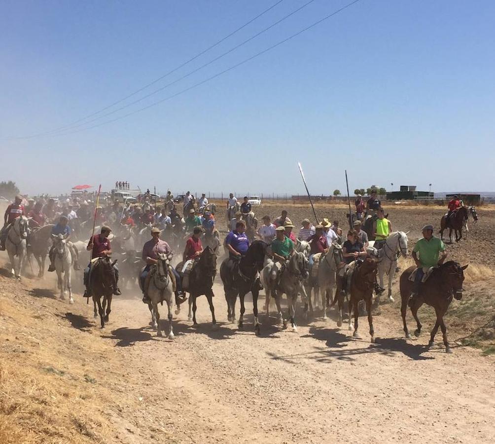 Cedillo recupera la trashumancia