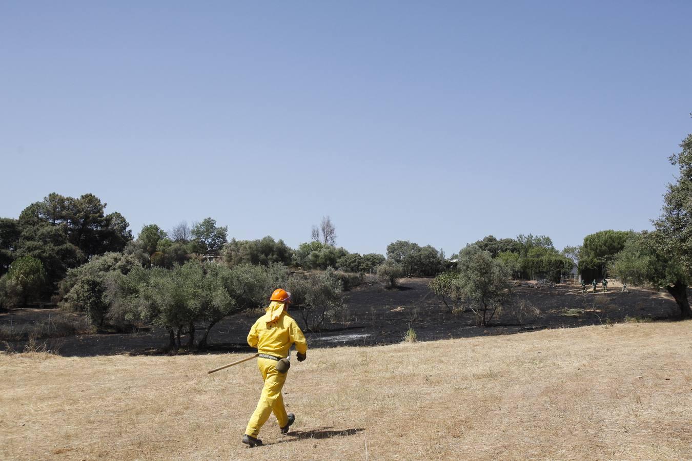 El incendio forestal de las Siete Fincas, en imágenes