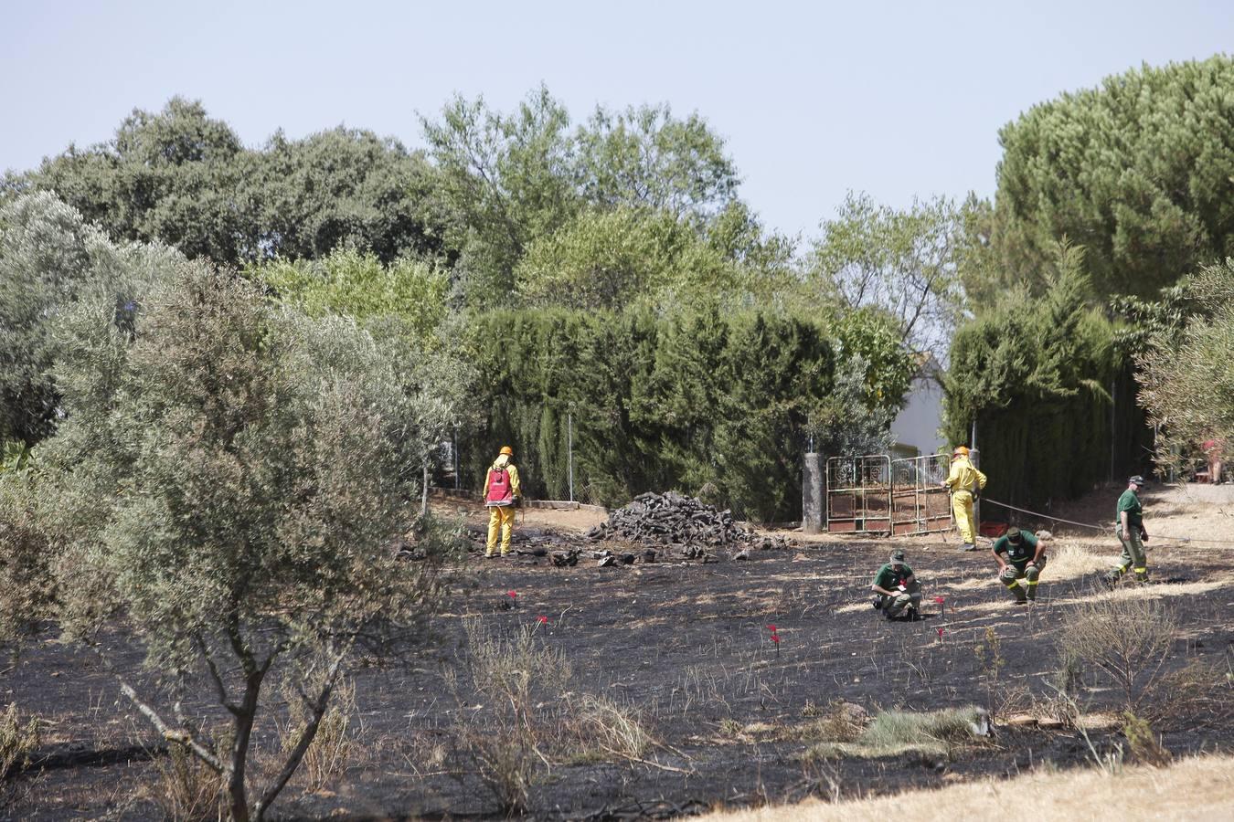 El incendio forestal de las Siete Fincas, en imágenes