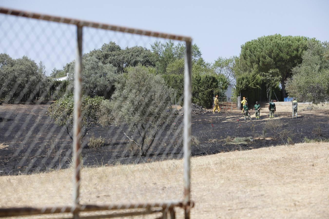 El incendio forestal de las Siete Fincas, en imágenes