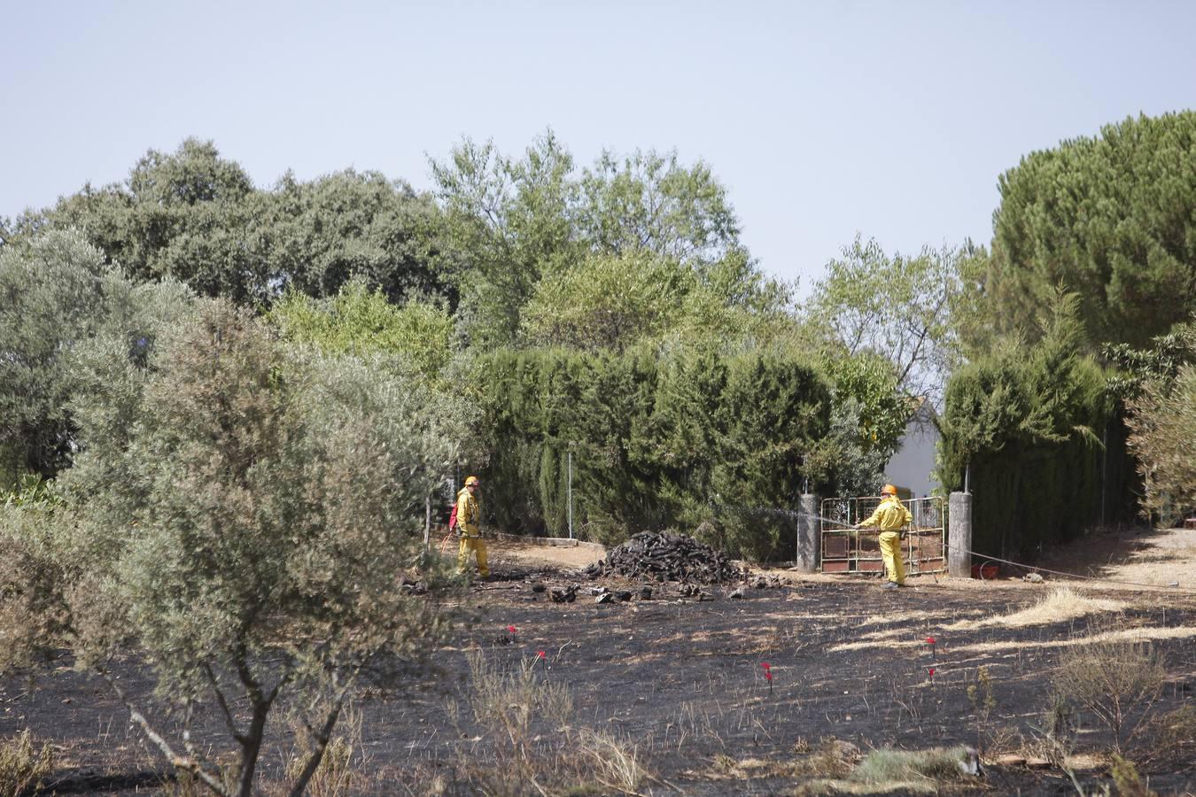 El incendio forestal de las Siete Fincas, en imágenes