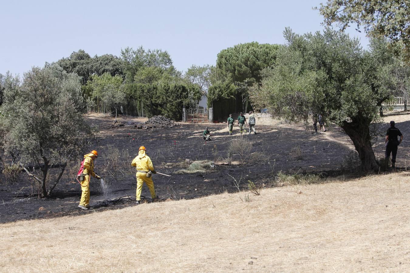 El incendio forestal de las Siete Fincas, en imágenes