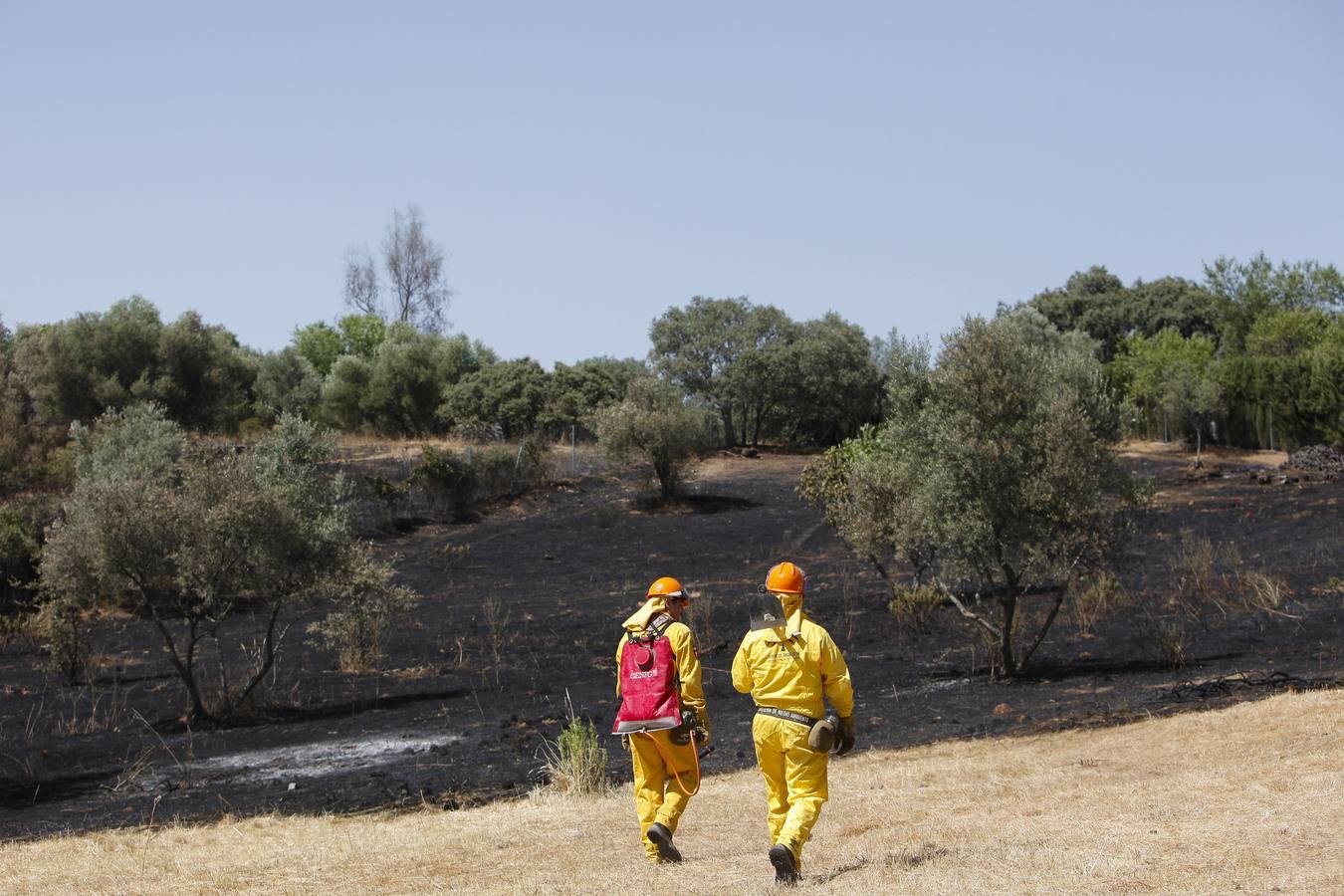 El incendio forestal de las Siete Fincas, en imágenes