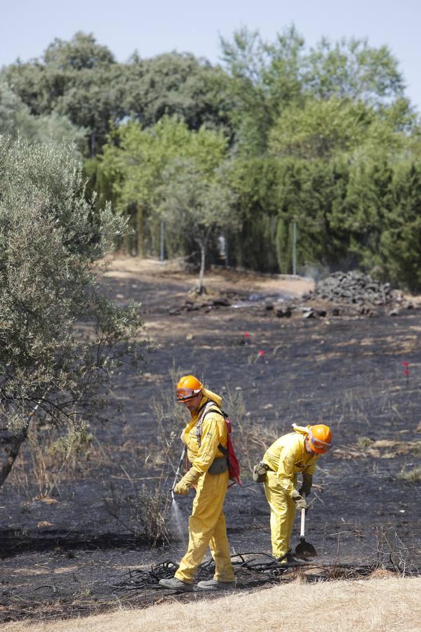 El incendio forestal de las Siete Fincas, en imágenes