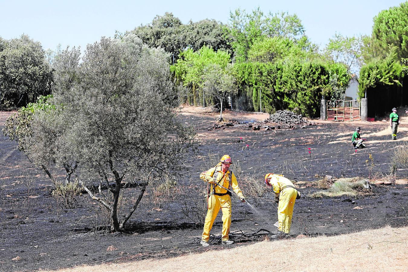 El incendio forestal de las Siete Fincas, en imágenes